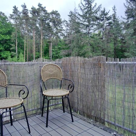 Ferienwohnung Kwe 12 Og Граль-Мюріц Екстер'єр фото